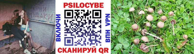 Псилоцибиновые грибы мухоморы  Владивосток 